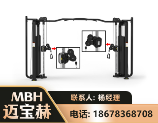 滁州大飞鸟训练器